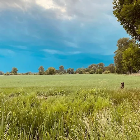 Gartenwohnung Am Radweg Stille Pauline Apartment *
