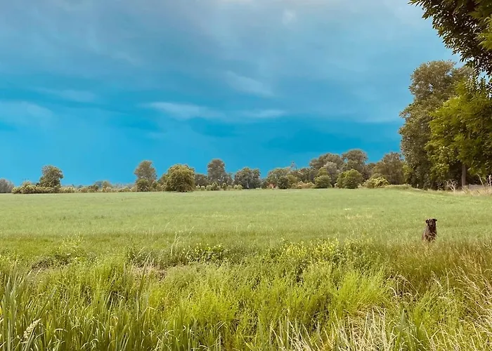 Gartenwohnung Am Radweg Stille Pauline Apartamento *